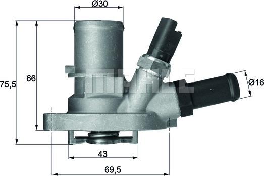 Wilmink Group WG1217596 - Termostats, Dzesēšanas šķidrums ps1.lv