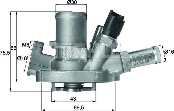 Wilmink Group WG1217600 - Termostats, Dzesēšanas šķidrums ps1.lv