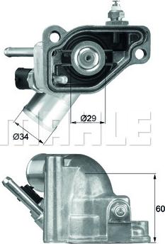 Wilmink Group WG1217689 - Termostats, Dzesēšanas šķidrums ps1.lv