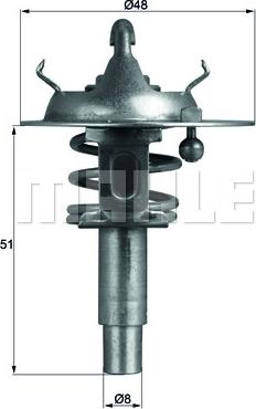 Wilmink Group WG1217859 - Termostats, Dzesēšanas šķidrums ps1.lv