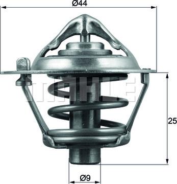 Wilmink Group WG1217870 - Termostats, Dzesēšanas šķidrums ps1.lv