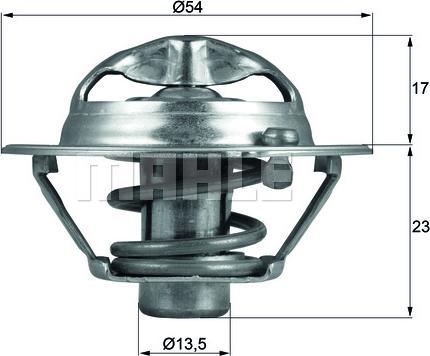 Wilmink Group WG1217873 - Termostats, Dzesēšanas šķidrums ps1.lv