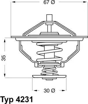 Wilmink Group WG1700127 - Termostats, Dzesēšanas šķidrums ps1.lv