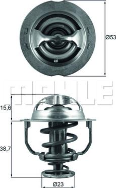 Wilmink Group WG1789694 - Termostats, Dzesēšanas šķidrums ps1.lv