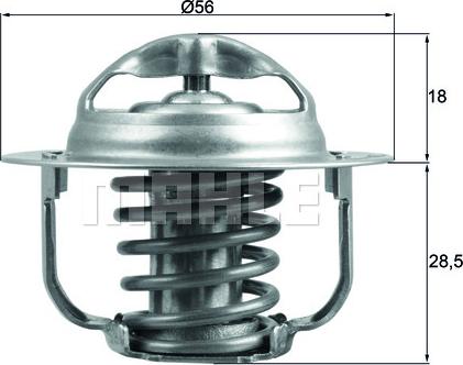 Wilmink Group WG1789695 - Termostats, Dzesēšanas šķidrums ps1.lv