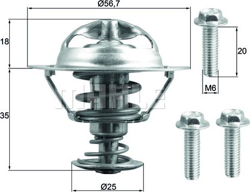 Wilmink Group WG1789696 - Termostats, Dzesēšanas šķidrums ps1.lv