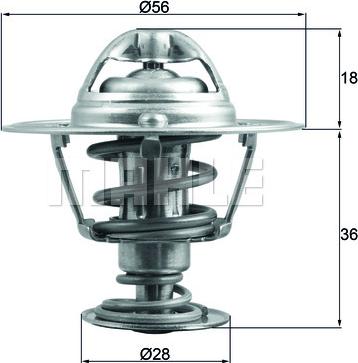 Wilmink Group WG1789693 - Termostats, Dzesēšanas šķidrums ps1.lv