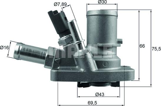 Wilmink Group WG1789645 - Termostats, Dzesēšanas šķidrums ps1.lv