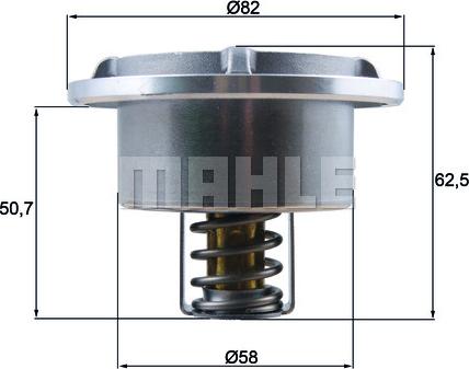 Wilmink Group WG1789636 - Termostats, Dzesēšanas šķidrums ps1.lv