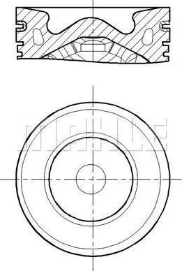 Wilmink Group WG2196018 - Virzulis ps1.lv