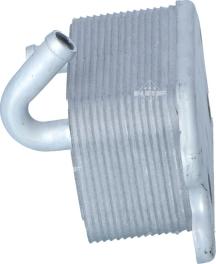 Wilmink Group WG2158833 - Eļļas radiators, Motoreļļa ps1.lv