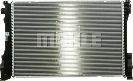 Wilmink Group WG2184036 - Radiators, Motora dzesēšanas sistēma ps1.lv