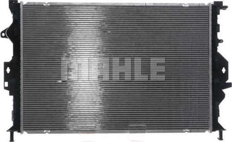 Wilmink Group WG2184024 - Radiators, Motora dzesēšanas sistēma ps1.lv