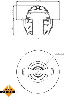 Wilmink Group WG2184748 - Termostats, Dzesēšanas šķidrums ps1.lv