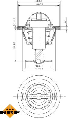 Wilmink Group WG2184704 - Termostats, Dzesēšanas šķidrums ps1.lv