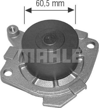 Wilmink Group WG2181416 - Ūdenssūknis ps1.lv