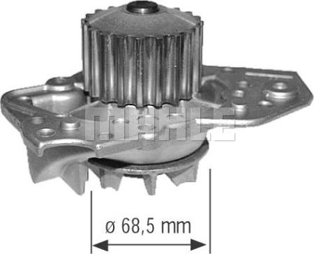 Wilmink Group WG2181542 - Ūdenssūknis ps1.lv