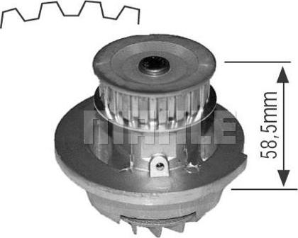 Wilmink Group WG2181578 - Ūdenssūknis ps1.lv