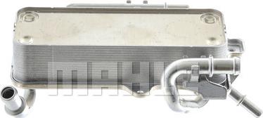 Wilmink Group WG2181198 - Eļļas radiators, Automātiskā pārnesumkārba ps1.lv