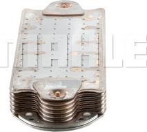 Wilmink Group WG2181164 - Eļļas radiators, Motoreļļa ps1.lv