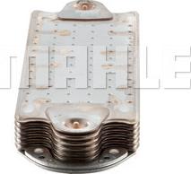 Wilmink Group WG2181164 - Eļļas radiators, Motoreļļa ps1.lv