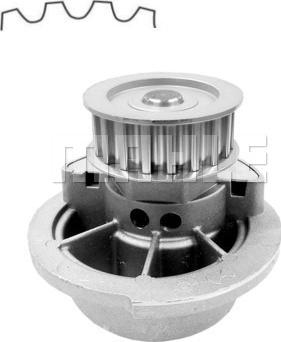 Wilmink Group WG2181817 - Ūdenssūknis ps1.lv