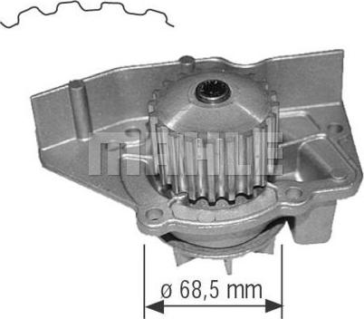 Wilmink Group WG2181355 - Ūdenssūknis ps1.lv