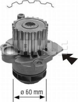 Wilmink Group WG2181314 - Ūdenssūknis ps1.lv