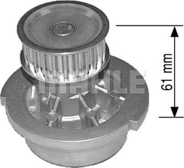 Wilmink Group WG2181291 - Ūdenssūknis ps1.lv