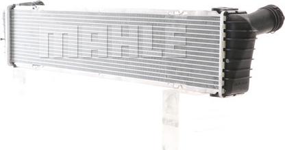 Wilmink Group WG2183996 - Radiators, Motora dzesēšanas sistēma ps1.lv