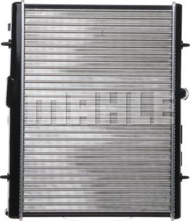 Wilmink Group WG2183042 - Radiators, Motora dzesēšanas sistēma ps1.lv