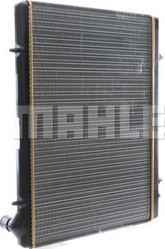 Wilmink Group WG2183050 - Radiators, Motora dzesēšanas sistēma ps1.lv