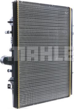 Wilmink Group WG2183790 - Radiators, Motora dzesēšanas sistēma ps1.lv