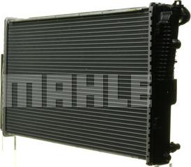 Wilmink Group WG2182942 - Radiators, Motora dzesēšanas sistēma ps1.lv