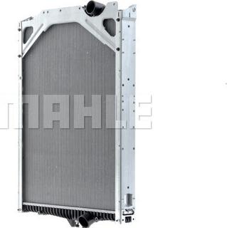 Wilmink Group WG2182950 - Radiators, Motora dzesēšanas sistēma ps1.lv