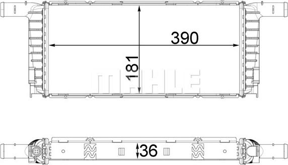 Wilmink Group WG2182964 - Radiators, Motora dzesēšanas sistēma ps1.lv