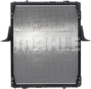 Wilmink Group WG2182462 - Radiators, Motora dzesēšanas sistēma ps1.lv