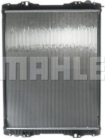 Wilmink Group WG2182418 - Radiators, Motora dzesēšanas sistēma ps1.lv