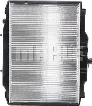 Wilmink Group WG2182601 - Radiators, Motora dzesēšanas sistēma ps1.lv