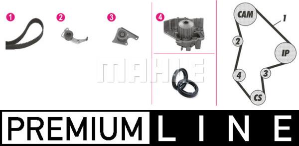 Wilmink Group WG2182175 - Ūdenssūknis + Zobsiksnas komplekts ps1.lv