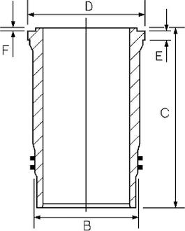 Wilmink Group WG2202178 - Cilindra čaula ps1.lv