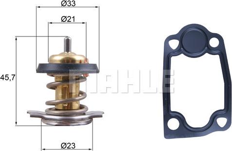 Wilmink Group WG2224808 - Termostats, Dzesēšanas šķidrums ps1.lv