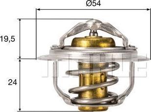 Wilmink Group WG2224798 - Termostats, Dzesēšanas šķidrums ps1.lv