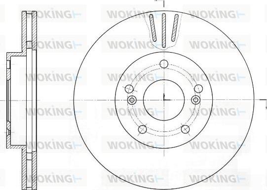 Woking D61644.10 - Bremžu diski ps1.lv