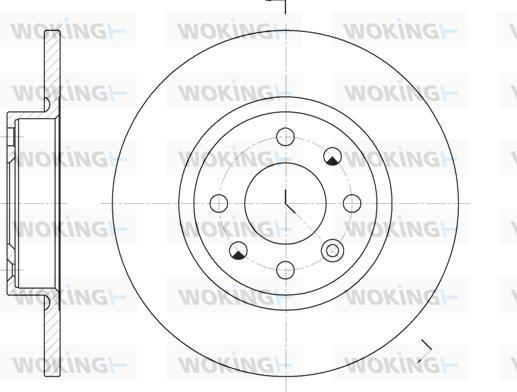 Woking D6209.00 - Bremžu diski ps1.lv