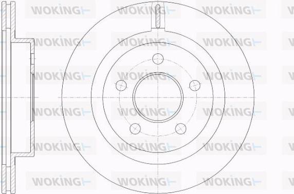 Woking D62009.10 - Bremžu diski ps1.lv