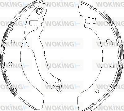 Woking Z4395.00 - Bremžu loki ps1.lv