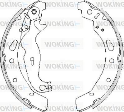 Woking Z4242.00 - Bremžu loki ps1.lv