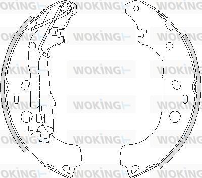 Woking Z4206.00 - Bremžu loki ps1.lv