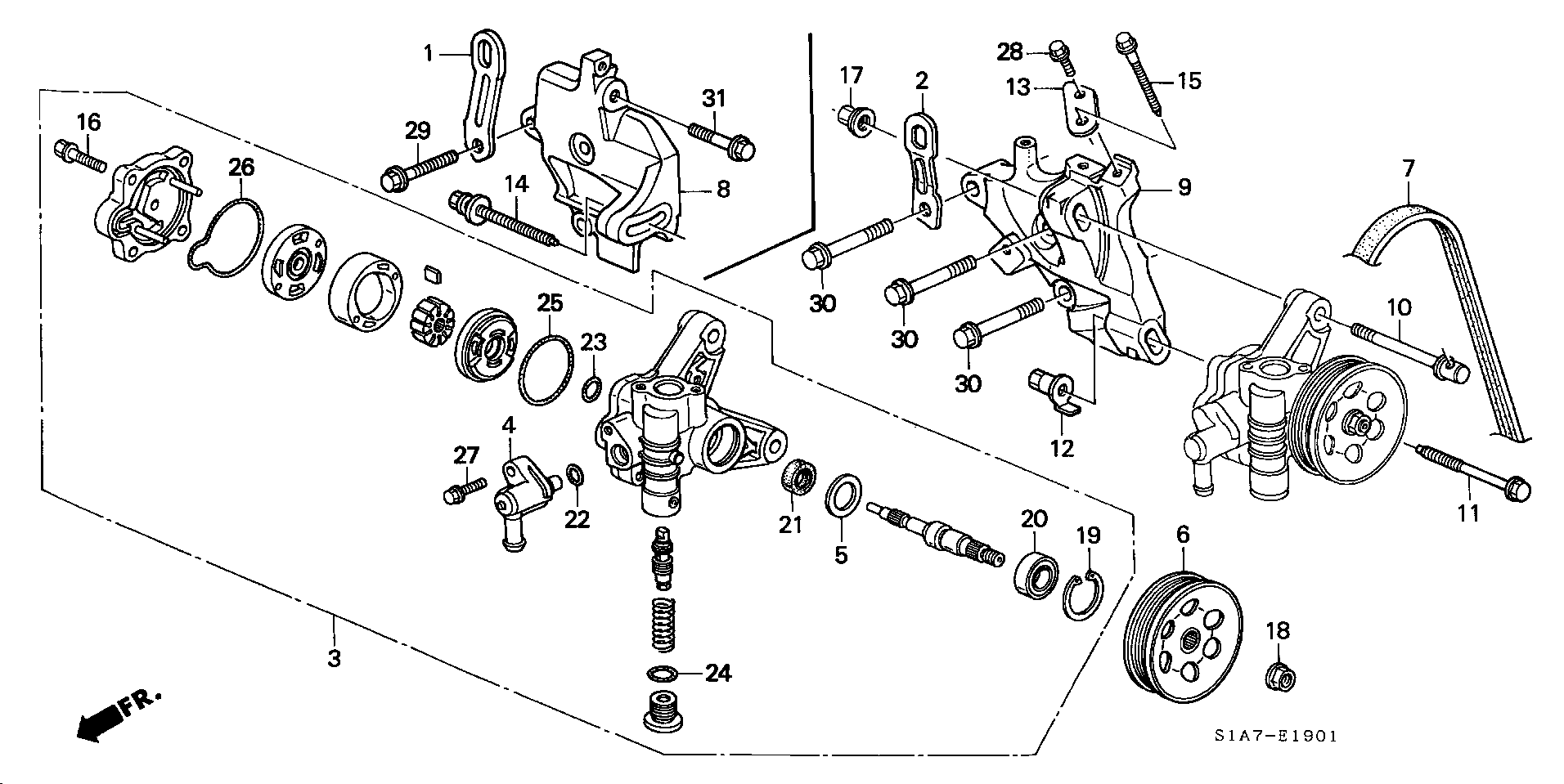 Honda 56992-PDA-E01 - Ķīļrievu siksna ps1.lv